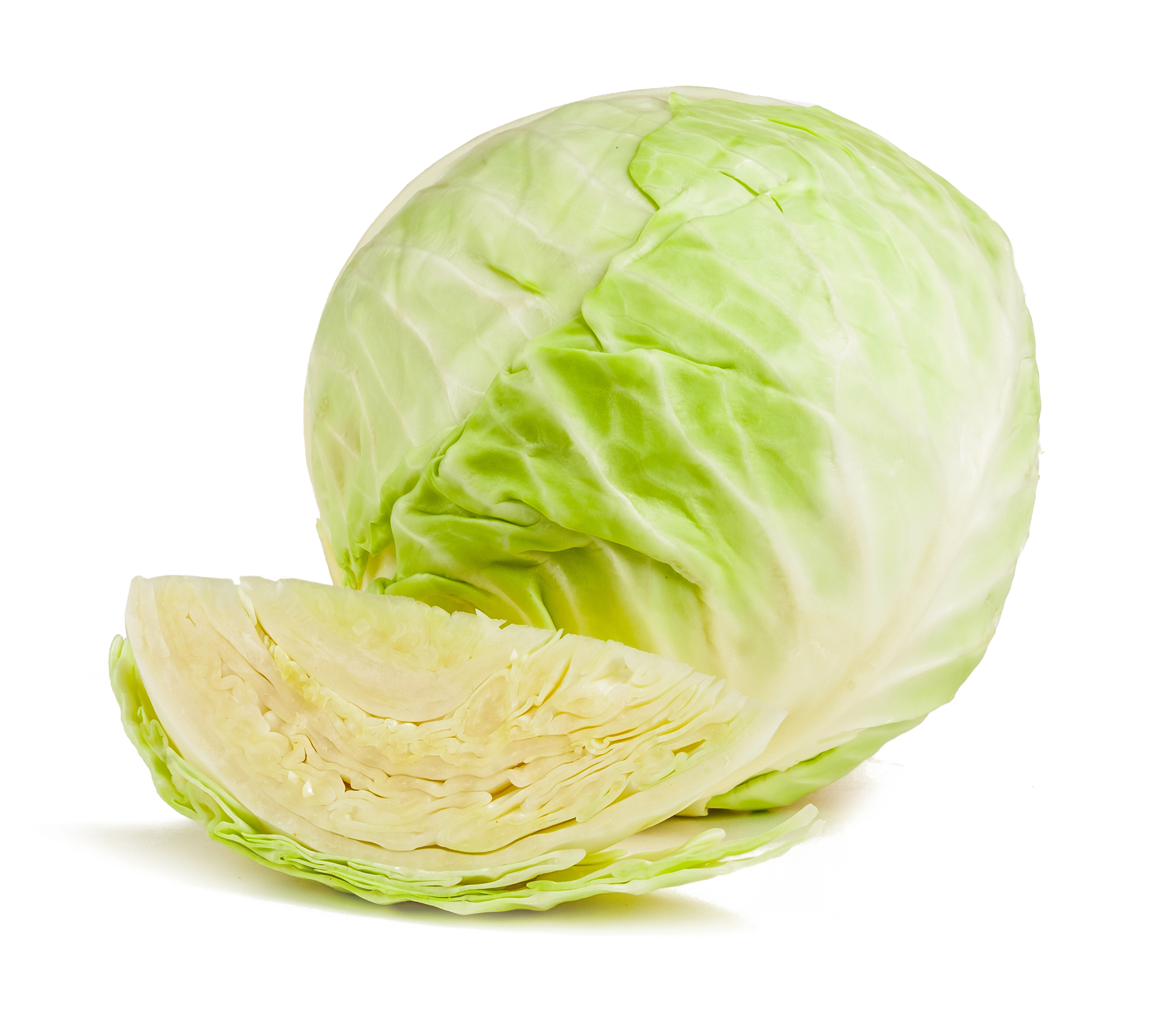 Bio Weißkohl 1 Stück