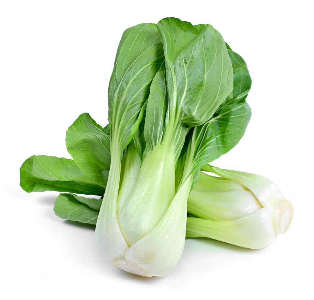 Bio Pak Choi 1 Stück