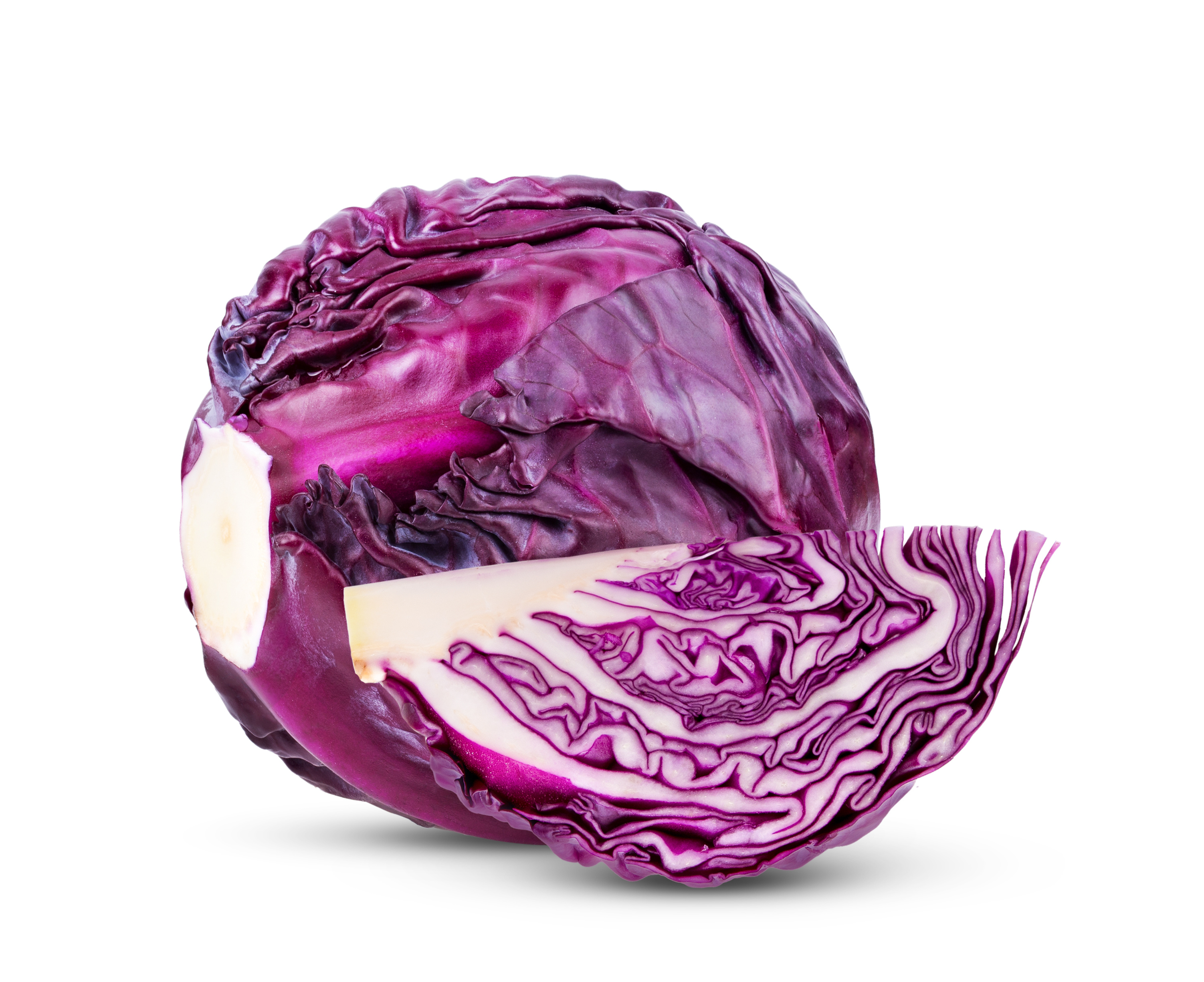 Bio Rotkohl 1 Stück
