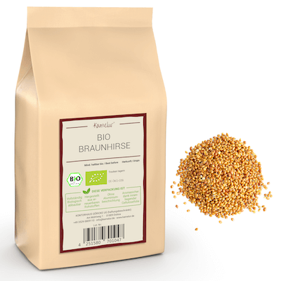 Millet brun bio