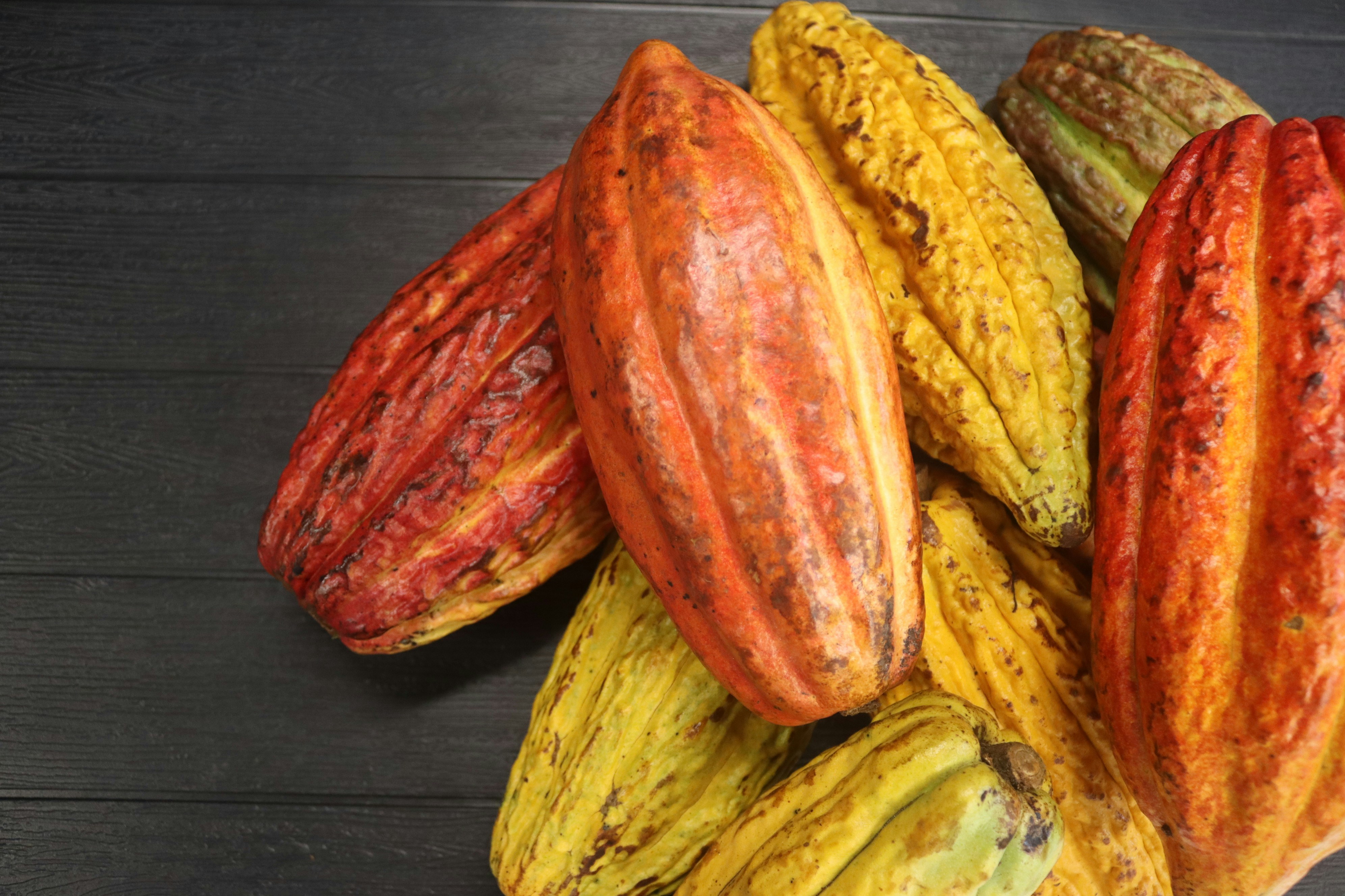 Barry Callebaut Kakaopulver alkalisiert 6kg