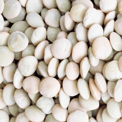 Lentilles bio, vertes