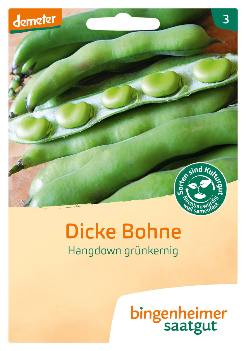 Bingenheimer Saatgut Dicke Bohne Hangdown