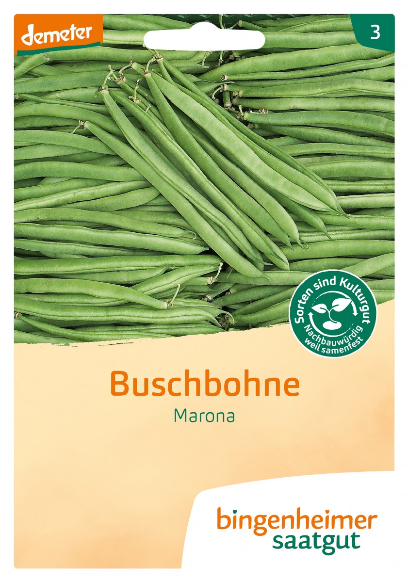 Bingenheimer Saatgut Buschbohne Marona