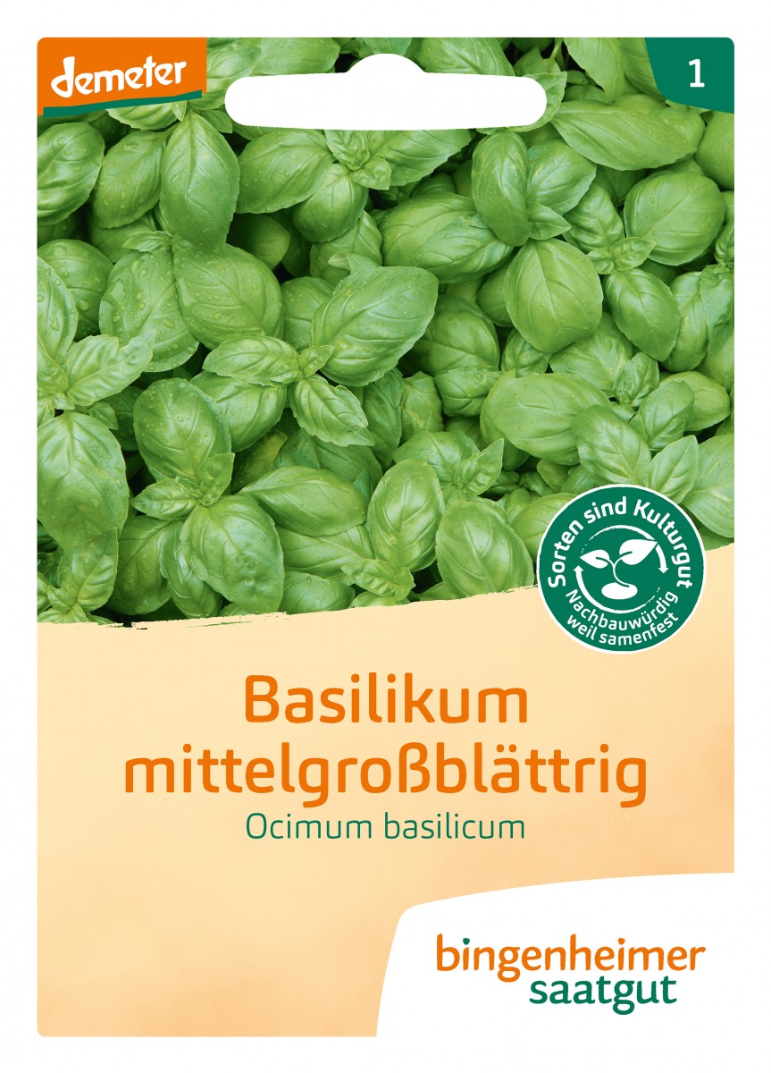 Bingenheimer Saatgut Basilikum mittelgroßblättrig